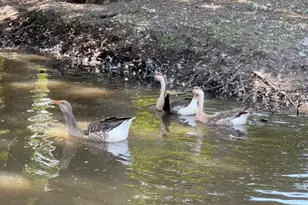 640 Heritage Creek Dr, Rhome, TX 76078 - Photo 17