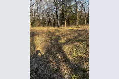 117 Inca Trail, Mabank, TX 75156 - Photo 3