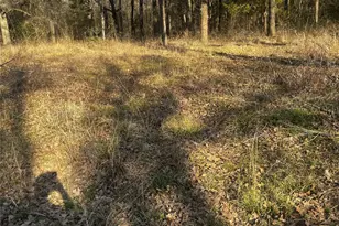 115 Inca Trail, Mabank, TX 75156 - Photo 1