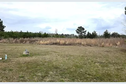 3049 Hwy 507, Coushatta, LA 71019 - Photo 5