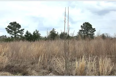 3049 Hwy 507, Coushatta, LA 71019 - Photo 37