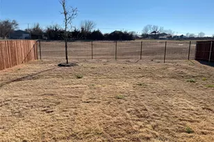 807 Cinnabar Wy, Princeton, TX 75407 - Photo 21