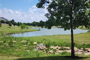 1008 W Bluff Way, Roanoke, TX 76262 - Photo 29