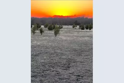 1110 County Road 697, Farmersville, TX 75442 - Photo 5