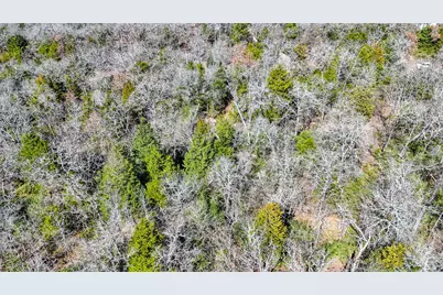 Tbd Lot 7 Fcr 540, Fairfield, TX 75840 - Photo 13