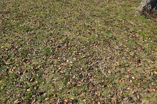 4881 White Rock, Lone Oak, TX 75453 - Photo 31