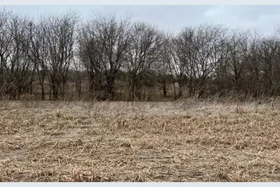 591 Farmer Road, Ennis, TX 75119 - Photo 3