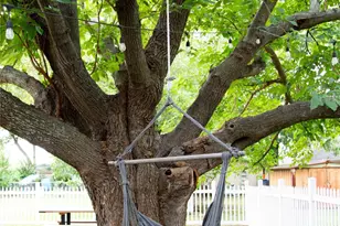 405 S Colorado St, Celina, TX 75009 - Photo 25