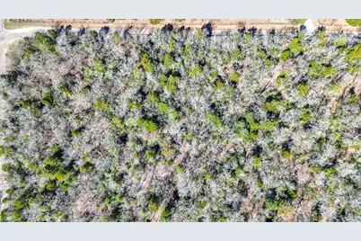 Tbd Lot 8 Fcr 540, Fairfield, TX 75840 - Photo 9