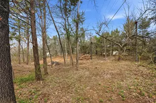 41 Cedar Bayou Blvd, Gordonville, TX 76245 - Photo 9