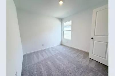 3113 Burmese Street, Providence Village, TX 76227 - Photo 23