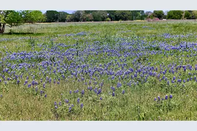2031-C County Road 3310, Valley Mills, TX 76689 - Photo 3