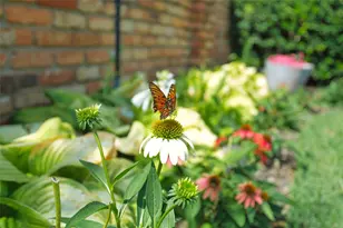 16001 Chalfont Cir, Dallas, TX 75248 - Photo 3