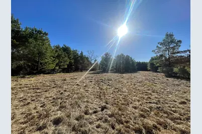 Lot 4 E Fm 942, Corrigan, TX 75934 - Photo 23