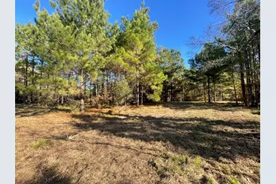 Lot 4 E Fm 942, Corrigan, TX 75934 - Photo 19