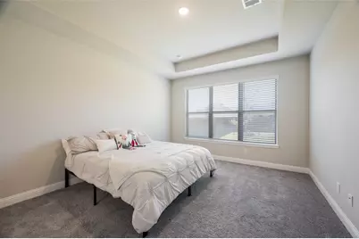 6005 Horsetail Drive, McKinney, TX 75071 - Photo 13