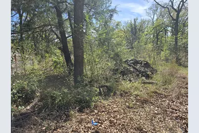 Lot 742 Oak Haven Drive, Gun Barrel City, TX 75156 - Photo 3