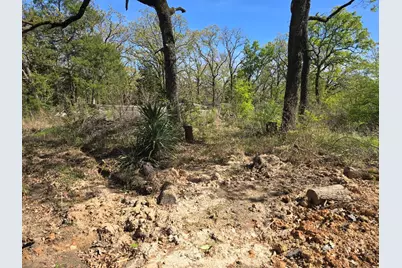 Lot 742 Oak Haven Drive, Gun Barrel City, TX 75156 - Photo 5