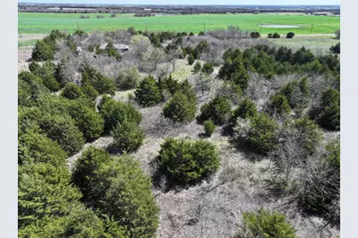 4058 Fm 981, Leonard, TX 75452 - Photo 3