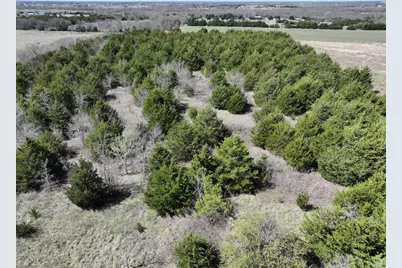 4058 Fm 981, Leonard, TX 75452 - Photo 5