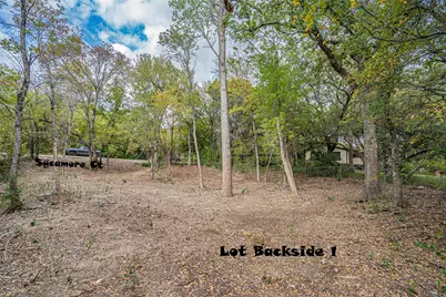 2923 Sycamore Court, Granbury, TX 76048 - Photo 3