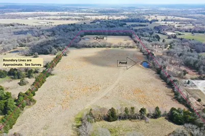 423 State Highway 75 S, Fairfield, TX 75840 - Photo 3