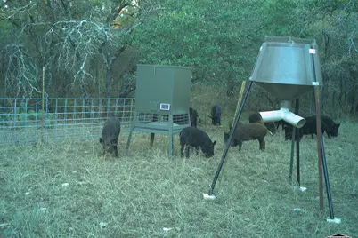 Tbd 34.02 Highway 36, Comanche, TX 76442 - Photo 7