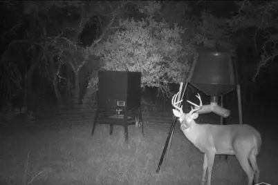 Tbd 34.02 Highway 36, Comanche, TX 76442 - Photo 11