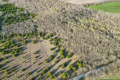 Lot 19 County Road 4813, Commerce, TX 75428 - Photo 7