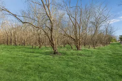 Lot 19 County Road 4813, Commerce, TX 75428 - Photo 3