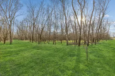 Lot 19 County Road 4813, Commerce, TX 75428 - Photo 5