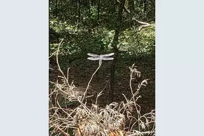 20039 County Road 450, Lindale, TX 75771 - Photo 5