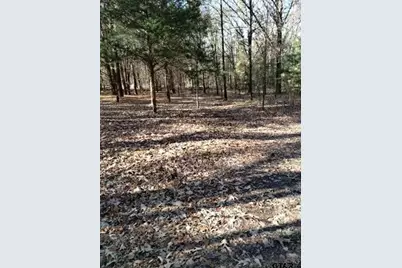 20039 County Road 450, Lindale, TX 75771 - Photo 15