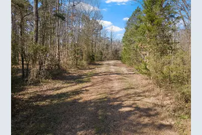 6524 Horse Rd, Gilmer, TX 75644 - Photo 11