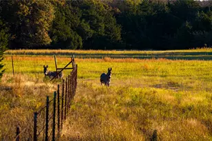 1210 Co Rd 232, Collinsville, TX 76233 - Photo 33