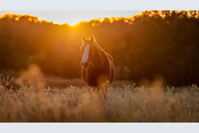 1210 County Road 232, Collinsville, TX 76233 - Photo 5