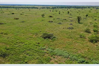 55.06 Acres 281 Highway, Jacksboro, TX 76458 - Photo 5