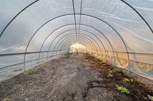 420 Co Rd 2904, Dodd City, TX 75438 - Photo 33