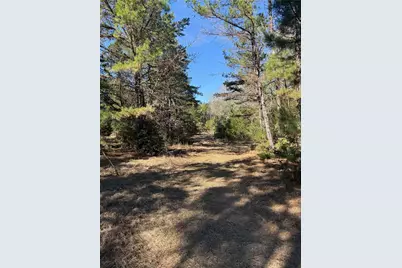 Tbd Cr  1755, Grapeland, TX 75844 - Photo 11