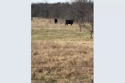 Tbd 3.177 Acres Winn Road, Collinsville, TX 76273 - Photo 3