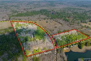 Tbd County Road 3986, Winnsboro, TX 75494 - Photo 1