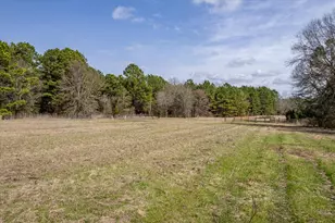 1070 Piney Grove, Rusk, TX 75785 - Photo 27