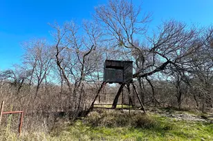 9595 County Rd 262, Crandall, TX 75114 - Photo 23