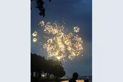 336 Private Road 5517, Alba, TX 75410 - Photo 29