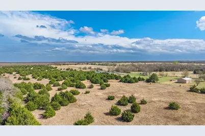 45.62 Acres S Hwy 78, Bonham, TX 75418 - Photo 3