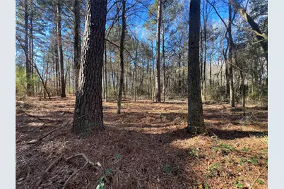 Tbd Fm 161 N, Naples, TX 75568 - Photo 7