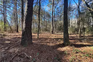 Tbd Fm 161 N, Naples, TX 75568 - Photo 7