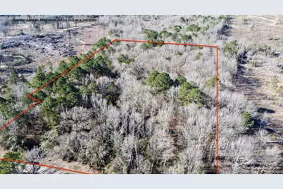 Tbd Fm 161 N, Naples, TX 75568 - Photo 5