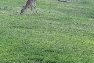 208 Yucca Dr, Weatherford, TX 76087 - Photo 31