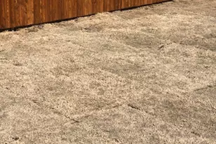 [Address not provided], Princeton, TX 75407 - Photo 25